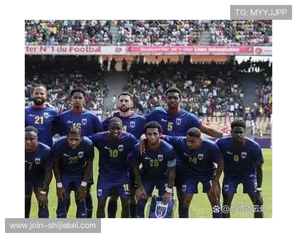 2026国际足联世界杯门票购买指南与购票流程全攻略